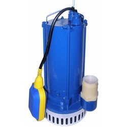 Gnom 6-10D 220V