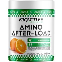 ProActive Amino After-Load 500 g