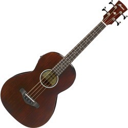 Ibanez AVNB1E