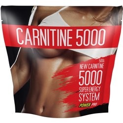 Power Pro Carnitine 5000 500 g