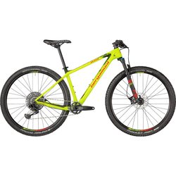 Bergamont Revox Pro 2018