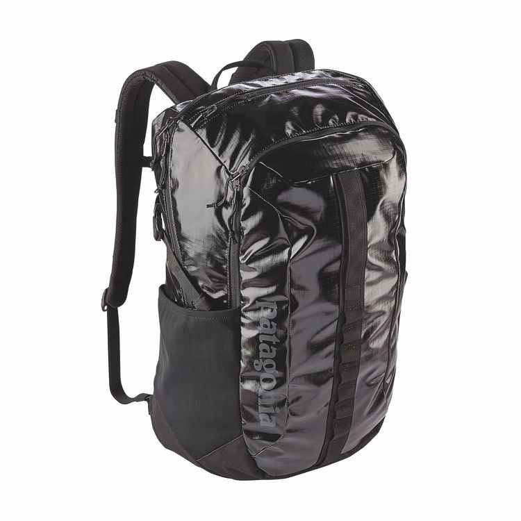 Patagonia Black Hole Pack 30L