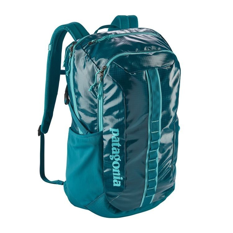 Patagonia Black Hole Pack 30L