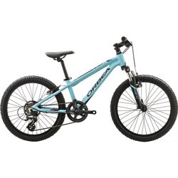 ORBEA MX 20 XC 2017