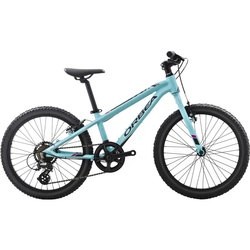 ORBEA MX 20 Dirt 2018