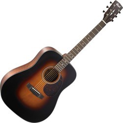 Cort Earth 300VF