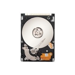 Seagate ST980817SM