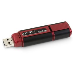 Kingston DataTraveler 310 256Gb