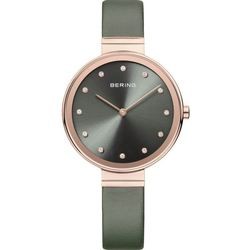 BERING 12034-667