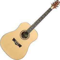 Peavey DW-1 Acoustic