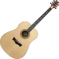 Peavey DW-2 Acoustic
