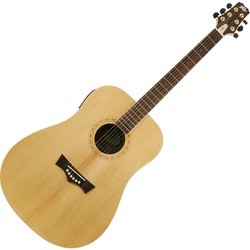Peavey DW-3 Acoustic