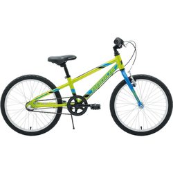 Radius Trailraiser 2018