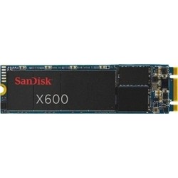 SanDisk SD9SN8W-256G