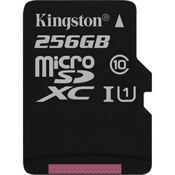 Kingston microSDXC Canvas Select 256Gb