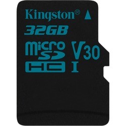 Kingston microSDHC Canvas Go!