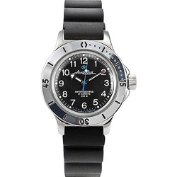 Vostok 120811