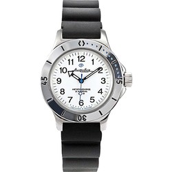Vostok 120813