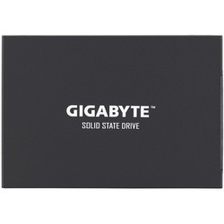 Gigabyte GP-GSTFS30256GTTD