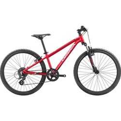 ORBEA MX 24 XC 2019