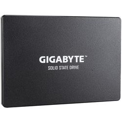 Gigabyte GP-GSTFS31120GNTD