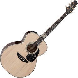 Takamine LTD 2018