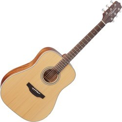 Takamine GD20NS