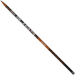 Salmo Team Salmo Pole 5549-500