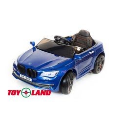 Toy Land BMW G1188 (синий)