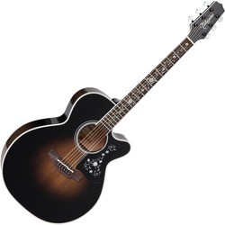 Takamine EF450C-TT