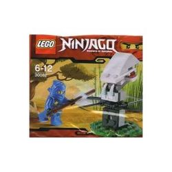 Lego Ninja Training 30082