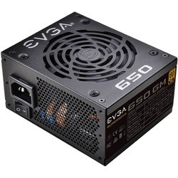 EVGA 650 GM