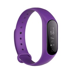 Smarterra FitMaster 2 (фиолетовый)