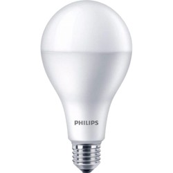 Philips LEDBulb A80 19W 6500K E27