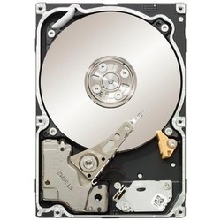 Seagate ST9250610NS