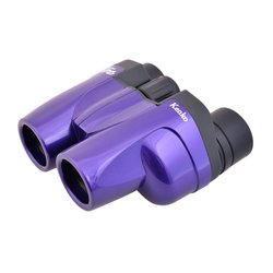 Kenko ultraVIEW 10x25 FMC (фиолетовый)