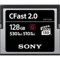 Sony CompactFlash CAT-G Series