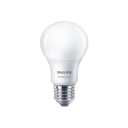Philips LED Scene Switch A60 9W 6500K E27