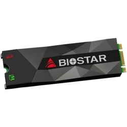 Biostar M500