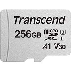 Transcend microSDXC 300S 256Gb
