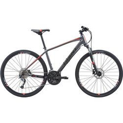 Giant Roam 2 Disc 2018 frame M