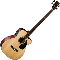 Martin BC-16GTE