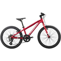 ORBEA MX 20 Dirt 2019