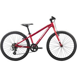 ORBEA MX 24 Dirt 2019