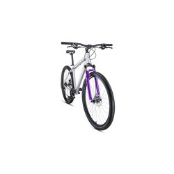 Forward Sporting 29 2.0 Disc 2019 frame 17 (серый)