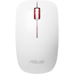 Asus WT300