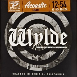 Dunlop Wylde Signature Acoustic 12-54