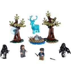 Lego Expecto Patronum 75945