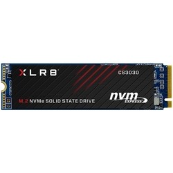 PNY M280CS3030-500-RB