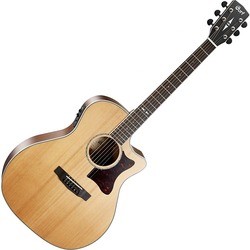 Cort GA-5F-BW